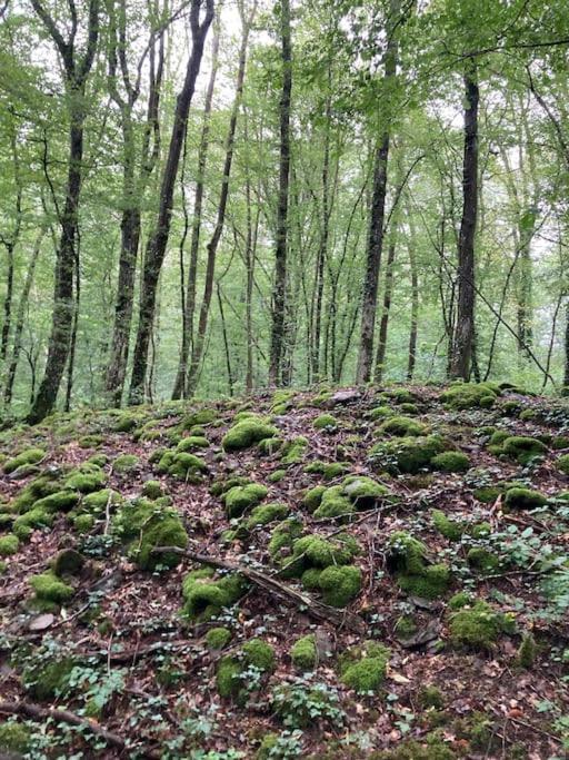 La Cabane, Durbuy Luaran gambar